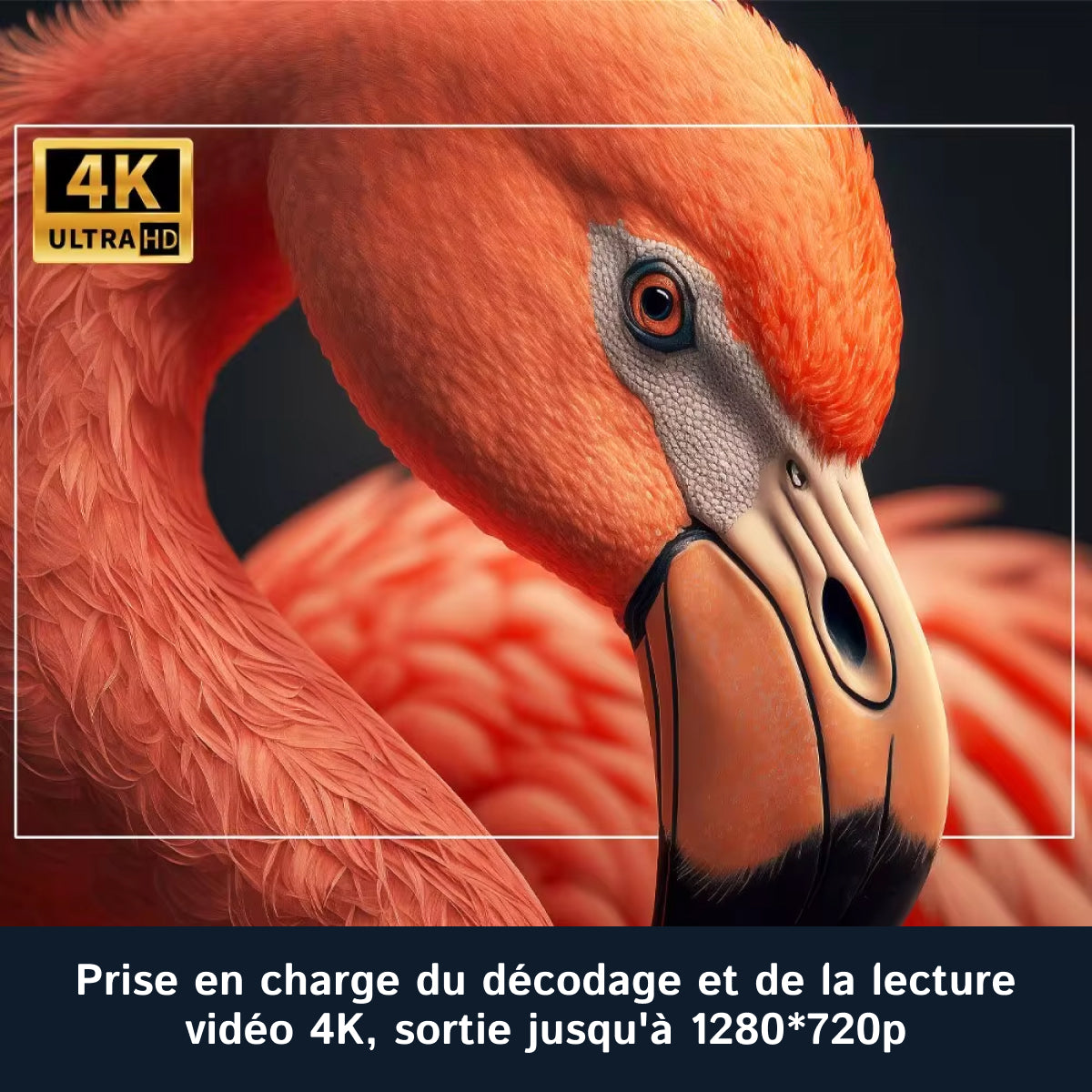 cinetote-fr-15.jpg__PID:b1b9a462-2d4f-44f3-8eca-83079f06fe73