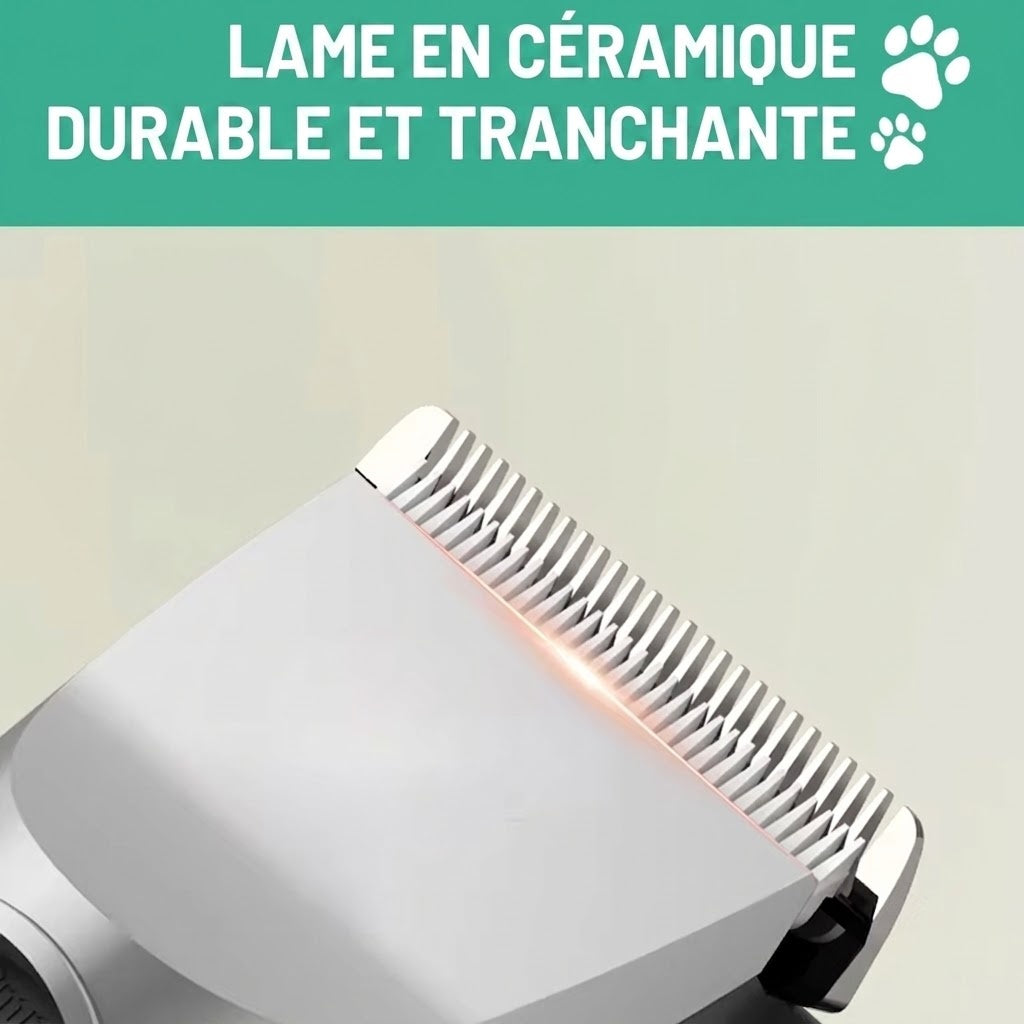 Eanmoda v3