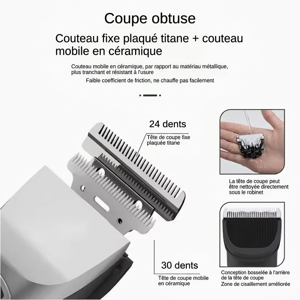 Eanmoda v3