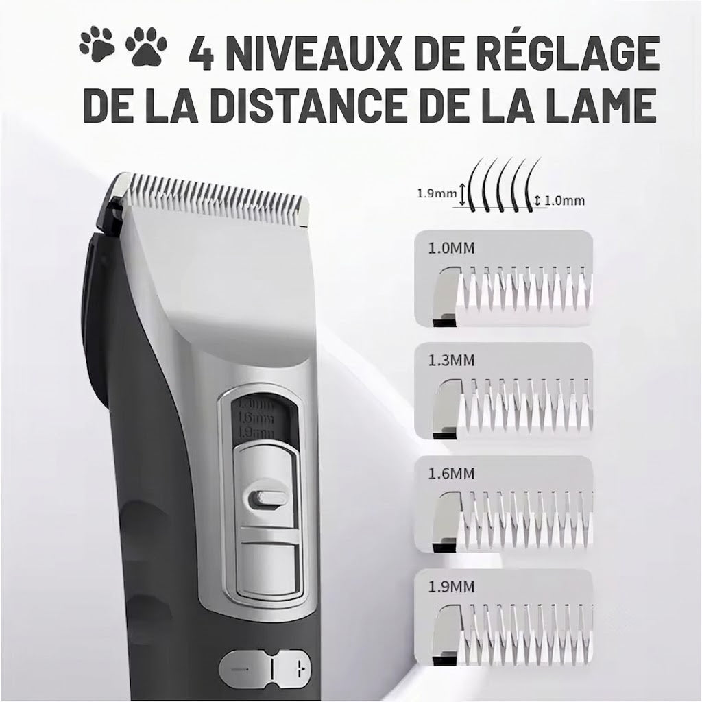 Eanmoda v3