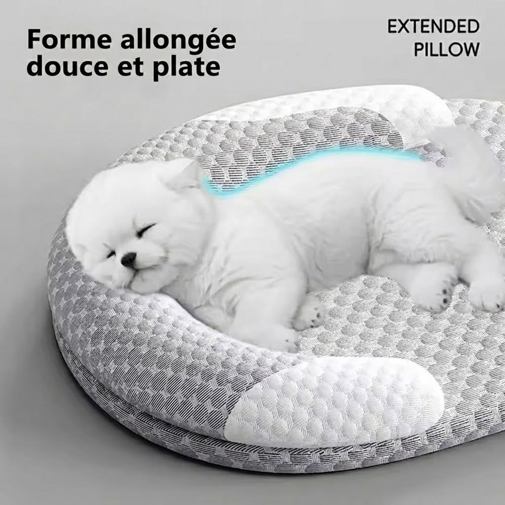 Easepuppy
