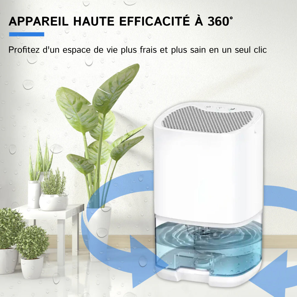 HydroFrest