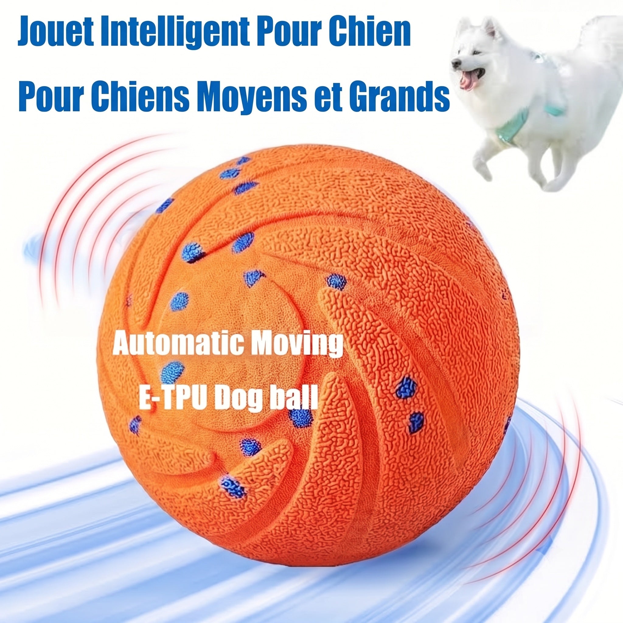 PawBounz