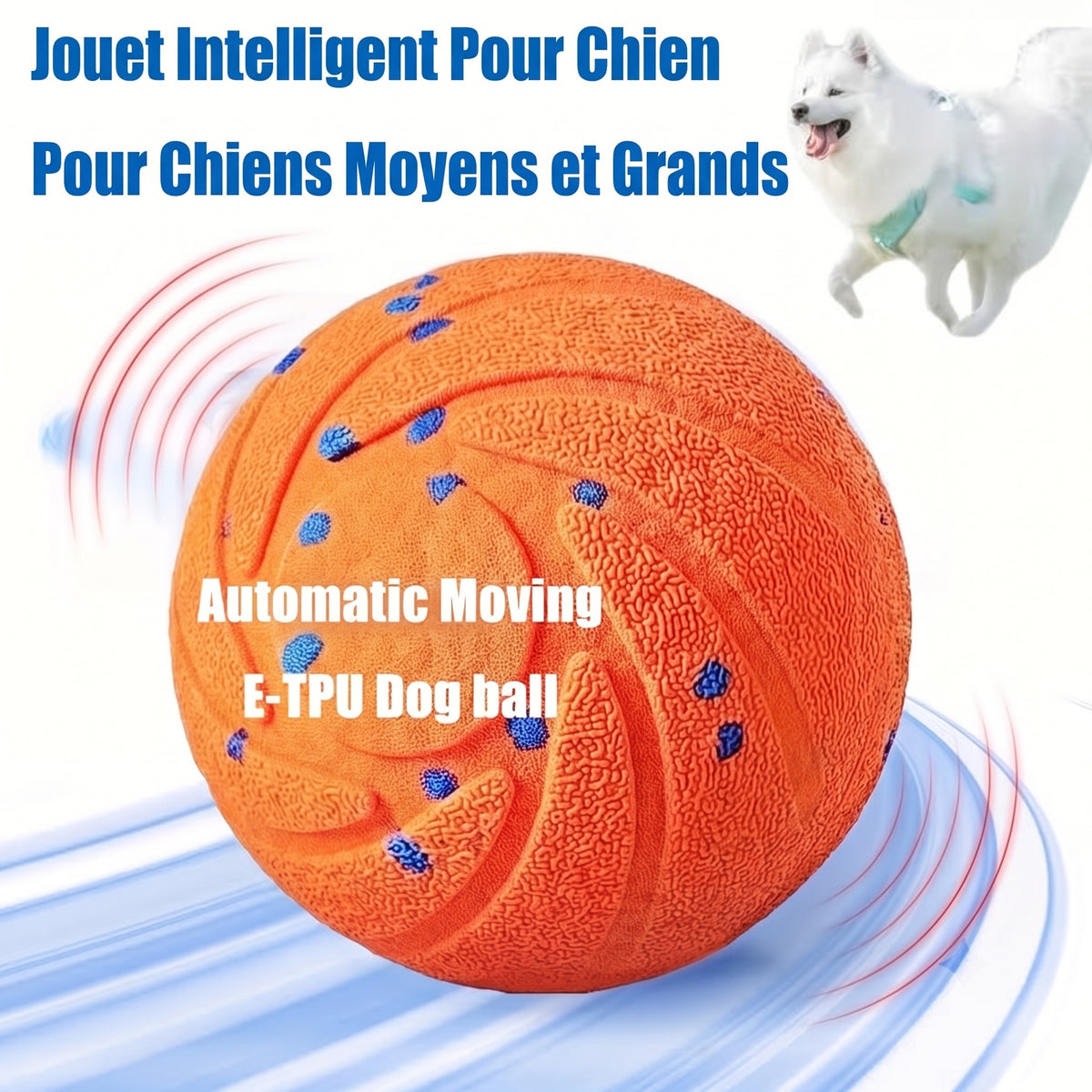 PawBounz