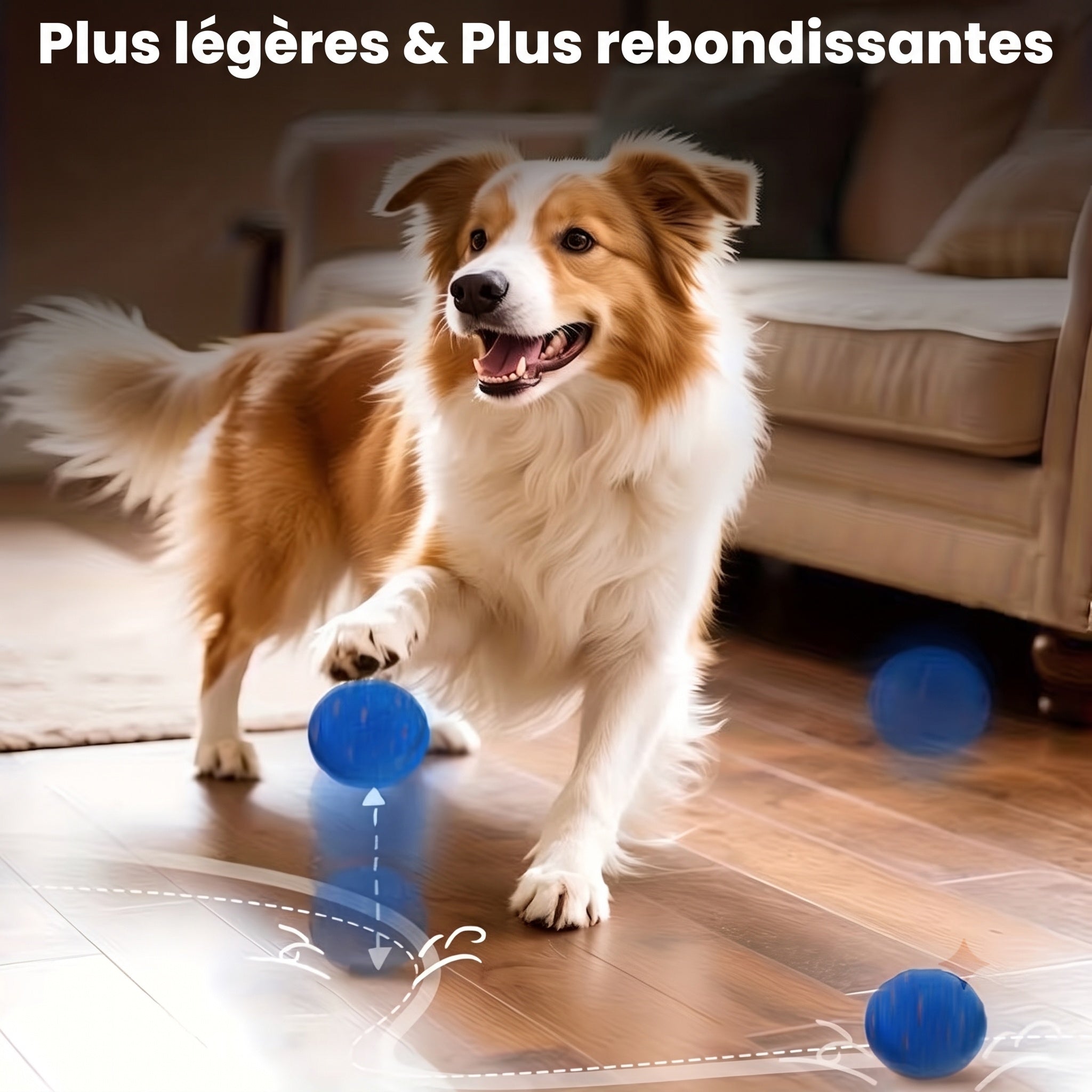PawBounz