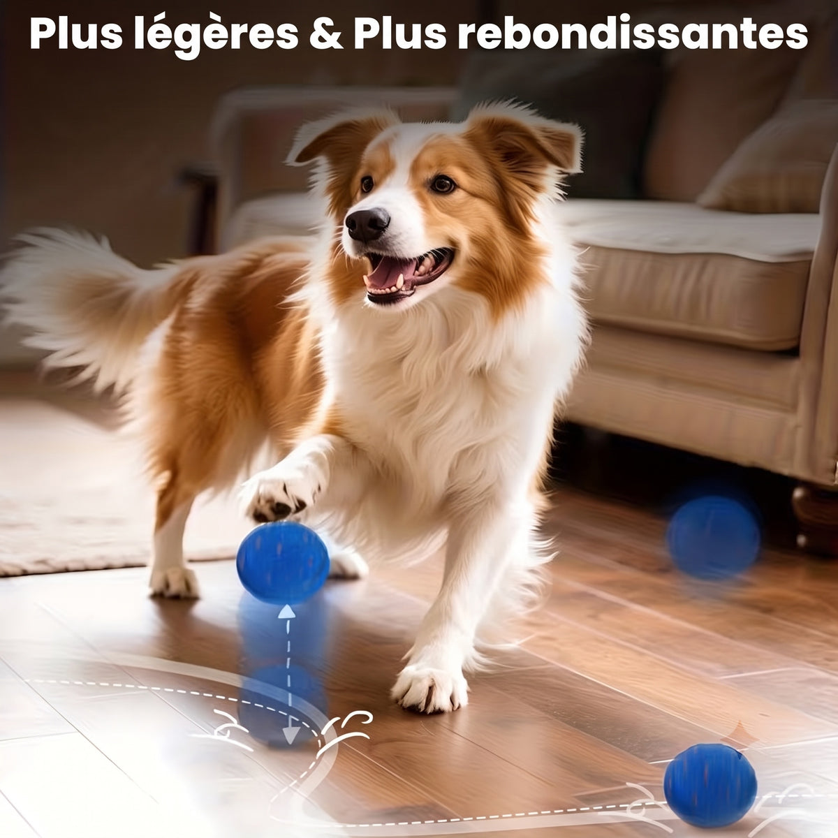 PawBounz