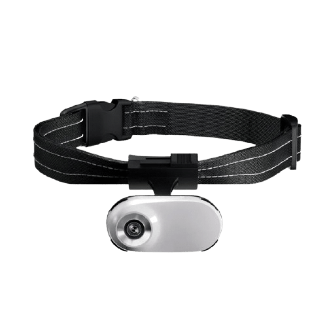 snap-purr-img-03.png__PID:9cf151dd-d947-4fb0-a5de-bad7194950cf