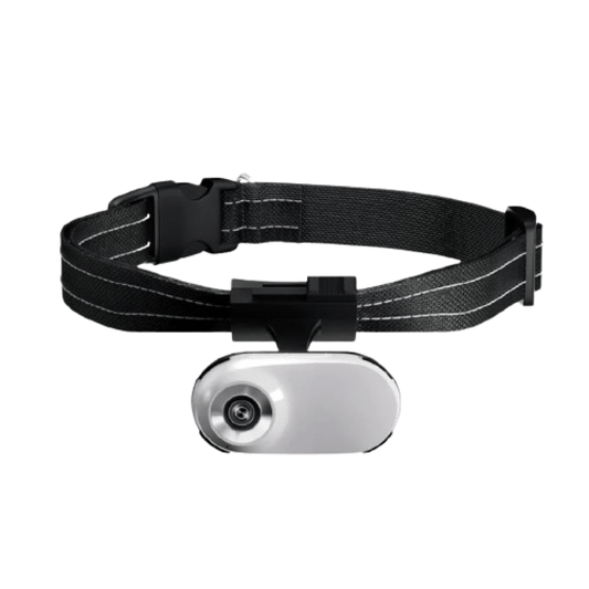 snap-purr-img-03.png__PID:9cf151dd-d947-4fb0-a5de-bad7194950cf