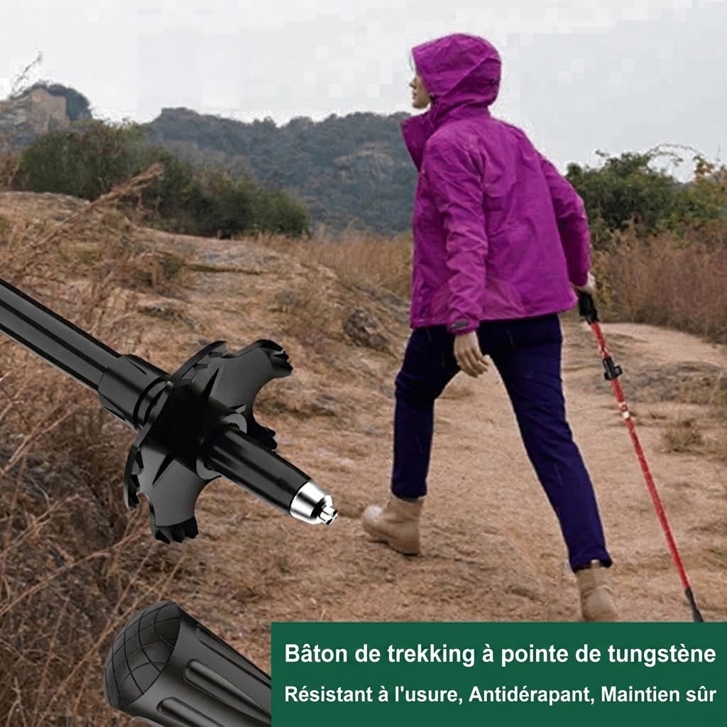 WalkiPole